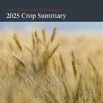 Cereals Canada、2025年新小麦作柄報告（2025 New Wheat Crop Report）を発表