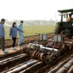 Sinopecの完全生分解性PBST素材が新疆の綿花畑における残留マルチフィルムの課題に取り組む