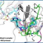 IRBM、ジカウイルス治療薬の発見において画期的な進展を報告