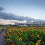 TCL is a “Doer”: Embedding ESG to Create Positive Impact across the Global Value Chain