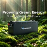 Vipboss Marks Earth Day with Renewed Commitment to Green Energy Solutions