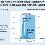 AAVnerGene社、次世代単一プラスミドAAV生産プラットフォーム「AAVone®2.1」を発表 ～収穫時に約1e16 GC/Lおよび70%以上の完全キャプシドを達成