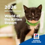 生涯の青写真：Hill’s「子猫の世界（World of the Kitten）」レポート、獣医療チームとペットオーナーによる重要な最初の1年への対応を支援